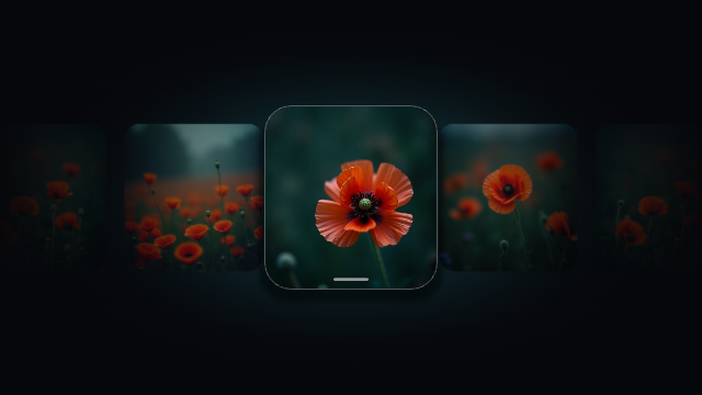 Focus Card
