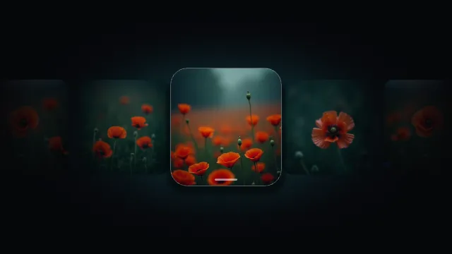 Focus Card